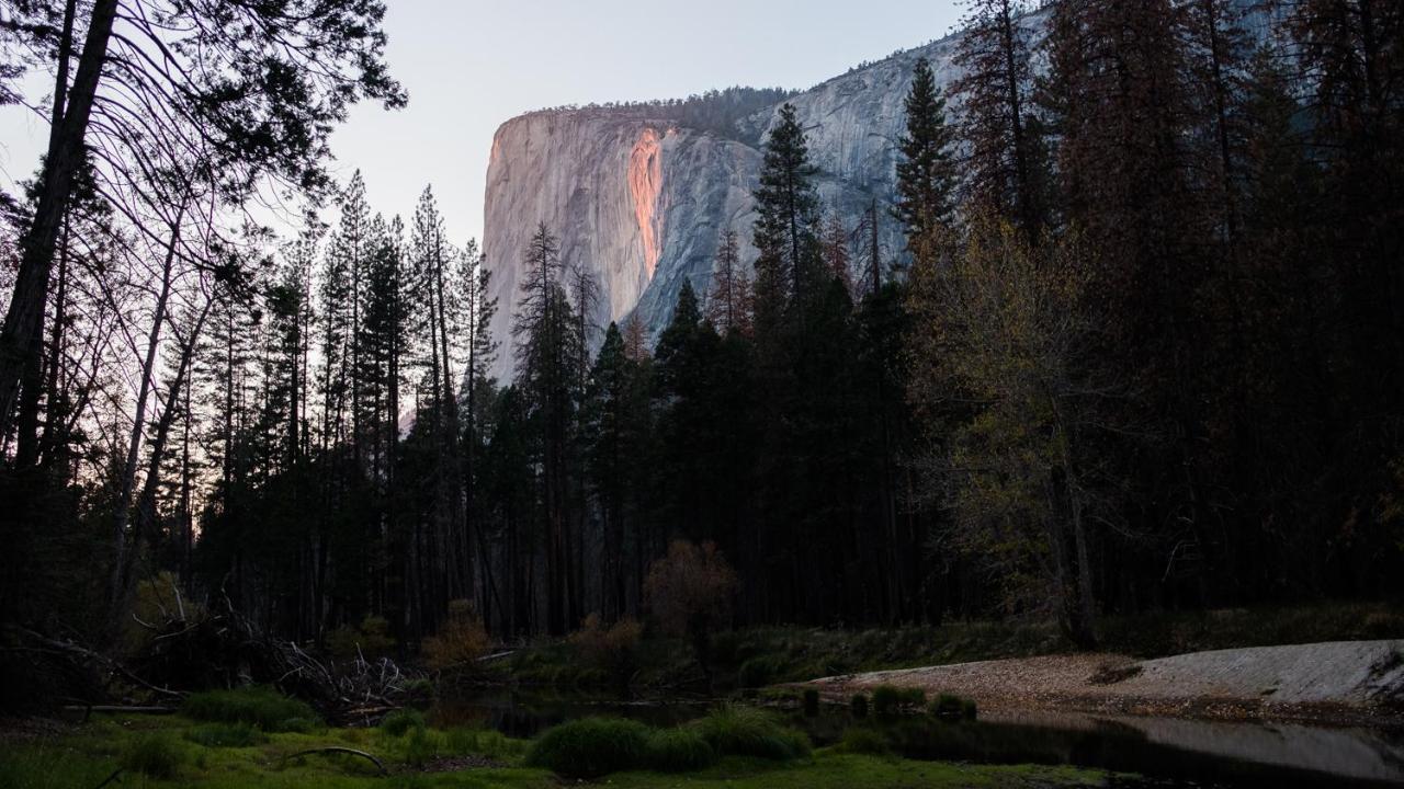 Autocamp Yosemite Hotel Midpines Kültér fotó